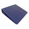 Carpeta Brillante Wilson Jones 2 Pulgadas Arillo D 520h
